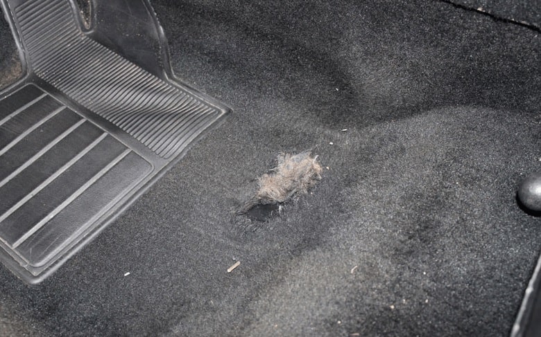 Tips Membersihkan Karpet Mobil