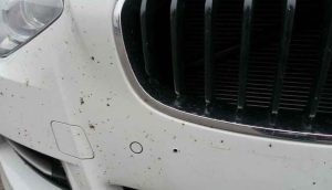 Cara Membersihkan Grill Mobil yang Benar