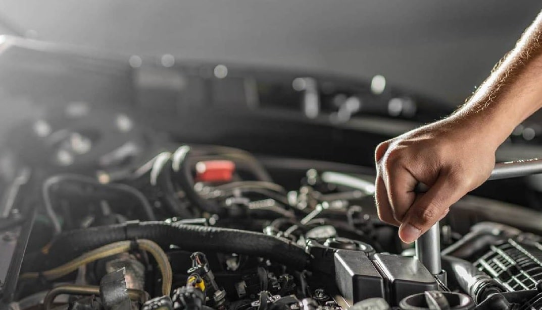 Mengusir Tikus di Mobil