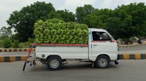 5 Bahaya Ketika Mobil Pick Up Kelebihan Muatan